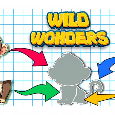 Wild Wonders game